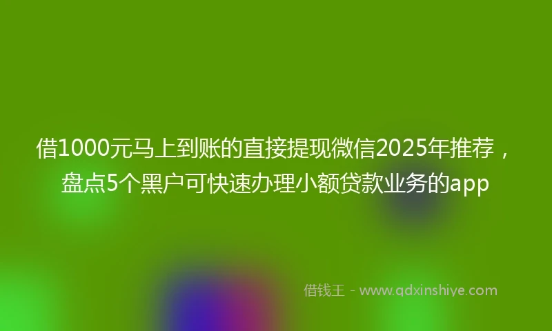 借1000元马上到账的直接提现微信2025年推荐，盘点5个黑户可快速办理小额贷款业务的app