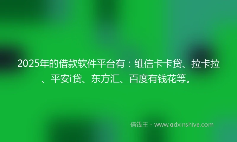 2025年的借款软件平台有：维信卡卡贷、拉卡拉、平安i贷、东方汇、百度有钱花等。