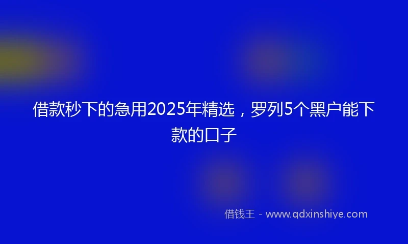 借款秒下的急用2025年精选，罗列5个黑户能下款的口子