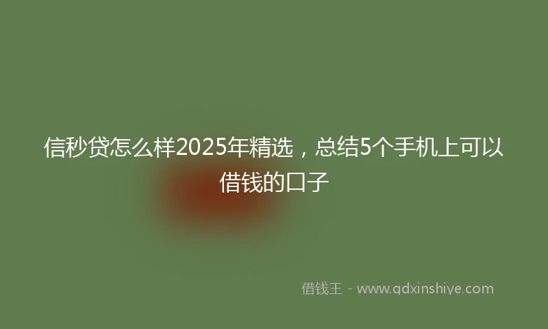 信秒贷怎么样2025年精选，总结5个手机上可以借钱的口子