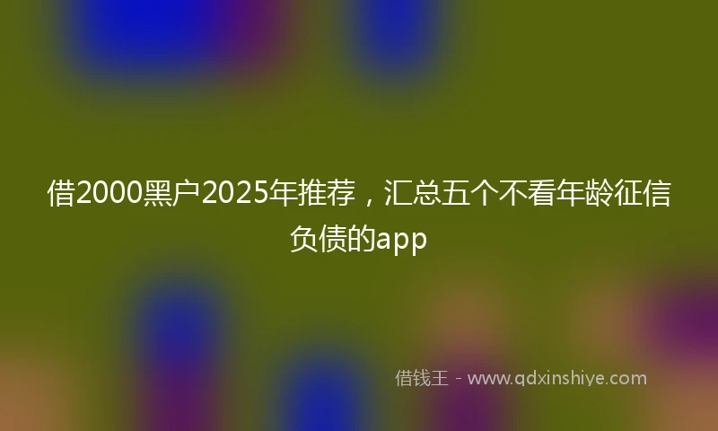 借2000黑户2025年推荐，汇总五个不看年龄征信负债的app