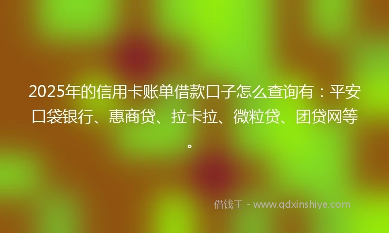 2025年的信用卡账单借款口子怎么查询有：平安口袋银行、惠商贷、拉卡拉、微粒贷、团贷网等。