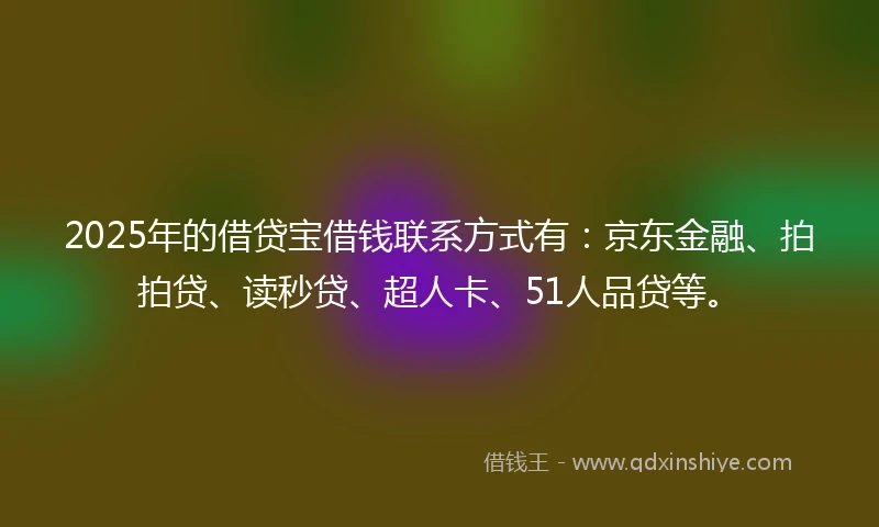 2025年的借贷宝借钱联系方式有：京东金融、拍拍贷、读秒贷、超人卡、51人品贷等。