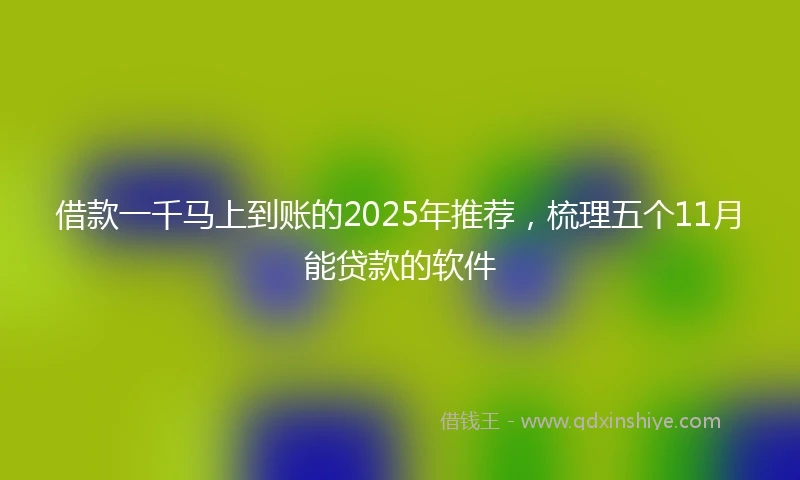 借款一千马上到账的2025年推荐，梳理五个11月能贷款的软件