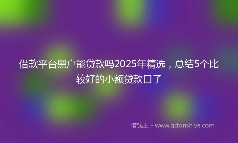 借款平台黑户能贷款吗2025年精选，总结5个比较好的小额贷款口子