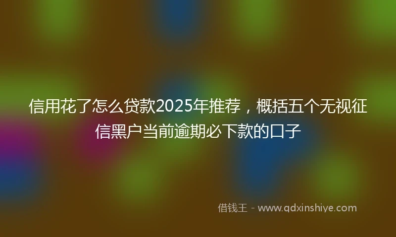 信用花了怎么贷款2025年推荐，概括五个无视征信黑户当前逾期必下款的口子