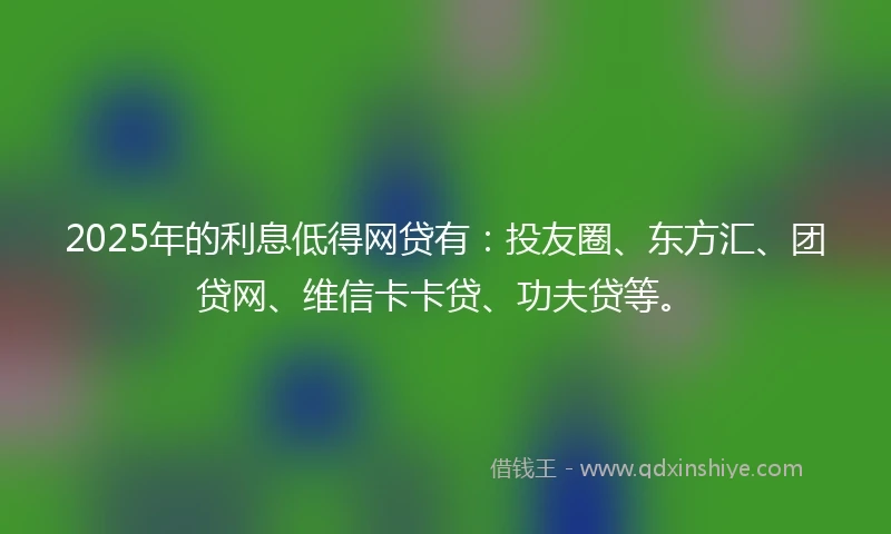 2025年的利息低得网贷有：投友圈、东方汇、团贷网、维信卡卡贷、功夫贷等。