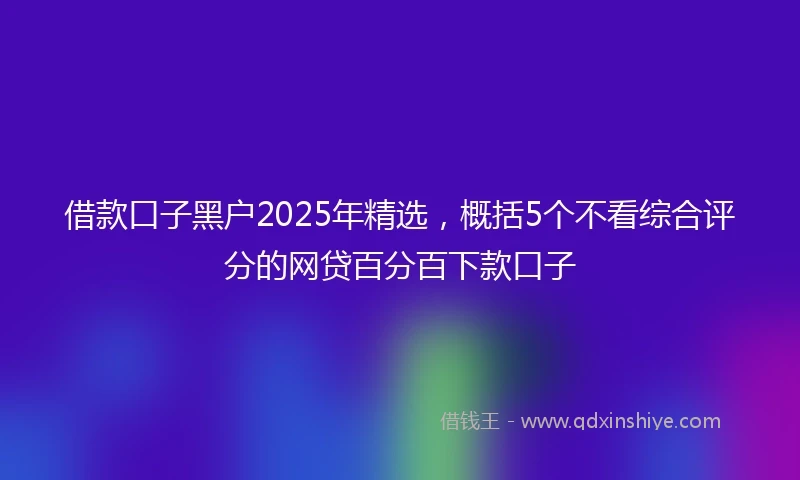 借款口子黑户2025年精选，概括5个不看综合评分的网贷百分百下款口子