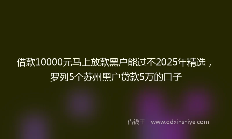 借款10000元马上放款黑户能过不2025年精选，罗列5个苏州黑户贷款5万的口子