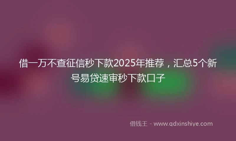 借一万不查征信秒下款2025年推荐，汇总5个新号易贷速审秒下款口子