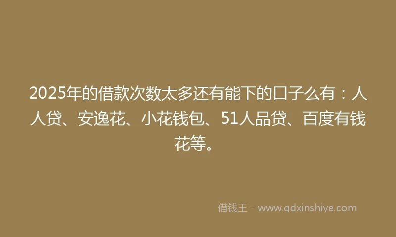 2025年的借款次数太多还有能下的口子么有：人人贷、安逸花、小花钱包、51人品贷、百度有钱花等。