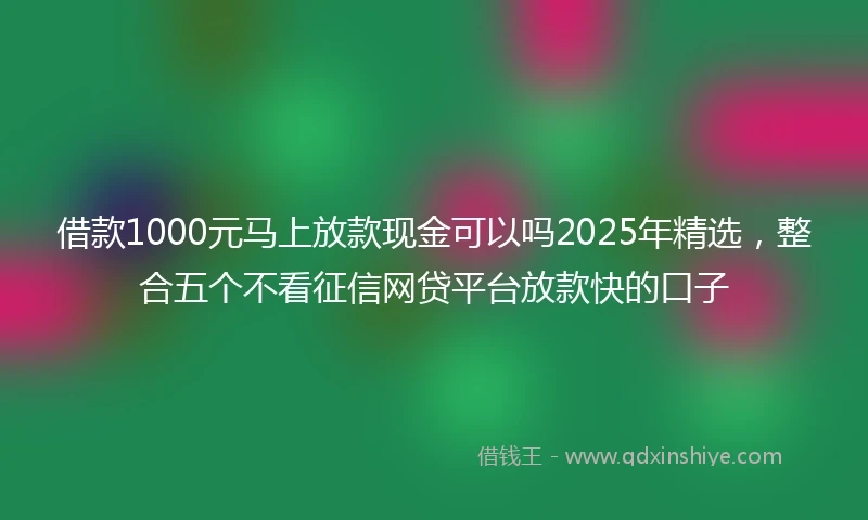 借款1000元马上放款现金可以吗2025年精选，整合五个不看征信网贷平台放款快的口子