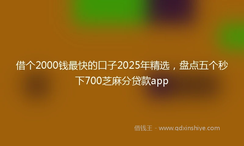 借个2000钱最快的口子2025年精选，盘点五个秒下700芝麻分贷款app