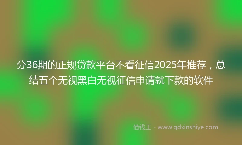 分36期的正规贷款平台不看征信2025年推荐，总结五个无视黑白无视征信申请就下款的软件