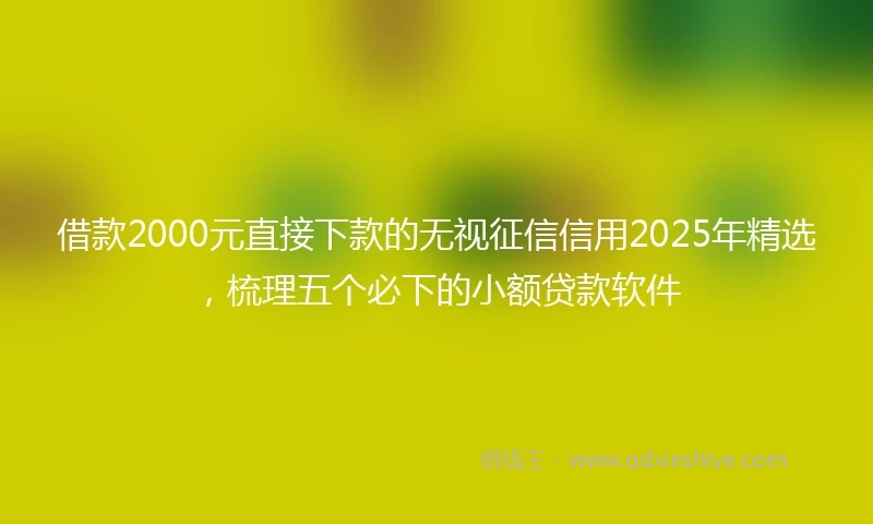借款2000元直接下款的无视征信信用2025年精选，梳理五个必下的小额贷款软件