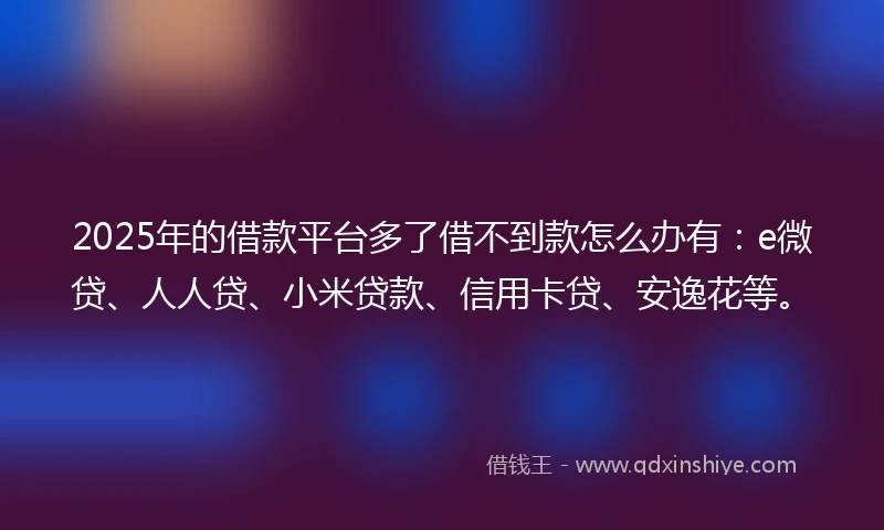 2025年的借款平台多了借不到款怎么办有：e微贷、人人贷、小米贷款、信用卡贷、安逸花等。