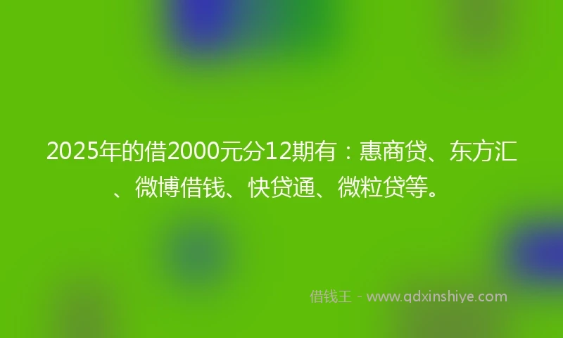 2025年的借2000元分12期有：惠商贷、东方汇、微博借钱、快贷通、微粒贷等。