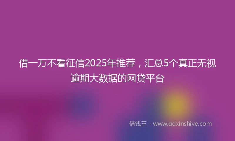 借一万不看征信2025年推荐，汇总5个真正无视逾期大数据的网贷平台