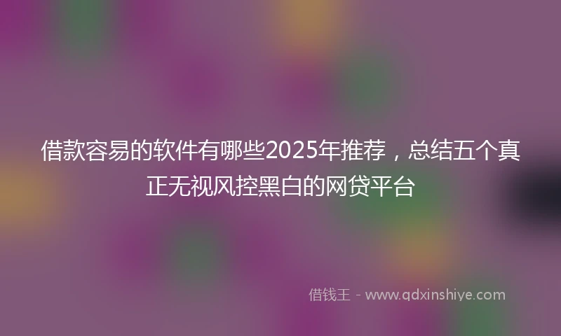 借款容易的软件有哪些2025年推荐，总结五个真正无视风控黑白的网贷平台