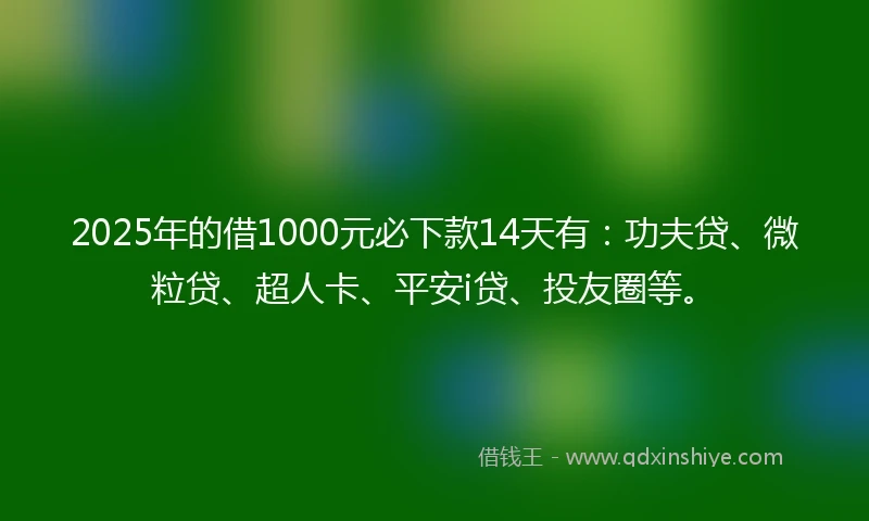 2025年的借1000元必下款14天有：功夫贷、微粒贷、超人卡、平安i贷、投友圈等。