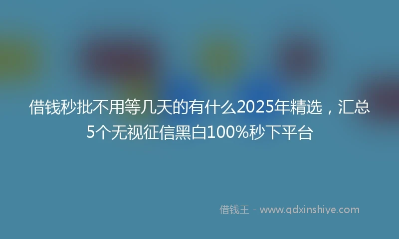 借钱秒批不用等几天的有什么2025年精选，汇总5个无视征信黑白100%秒下平台