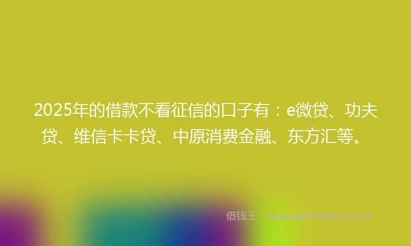 2025年的借款不看征信的口子有：e微贷、功夫贷、维信卡卡贷、中原消费金融、东方汇等。