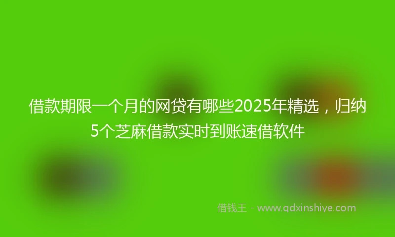 借款期限一个月的网贷有哪些2025年精选，归纳5个芝麻借款实时到账速借软件