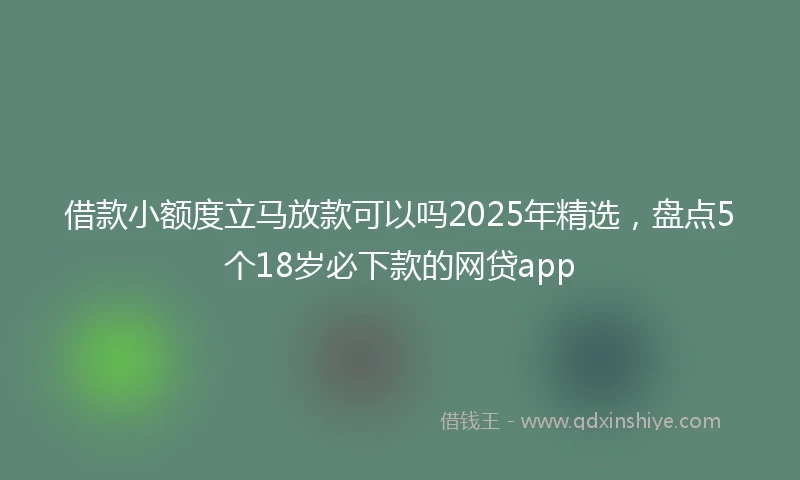 借款小额度立马放款可以吗2025年精选，盘点5个18岁必下款的网贷app