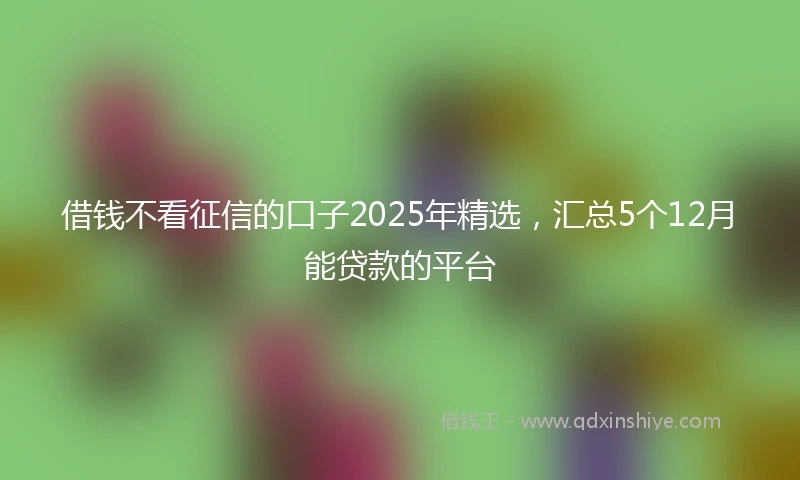 借钱不看征信的口子2025年精选，汇总5个12月能贷款的平台