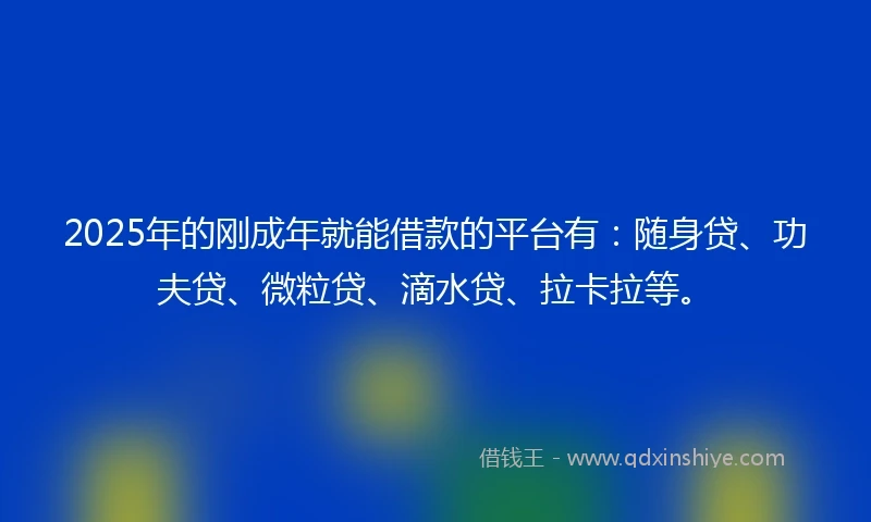 2025年的刚成年就能借款的平台有：随身贷、功夫贷、微粒贷、滴水贷、拉卡拉等。