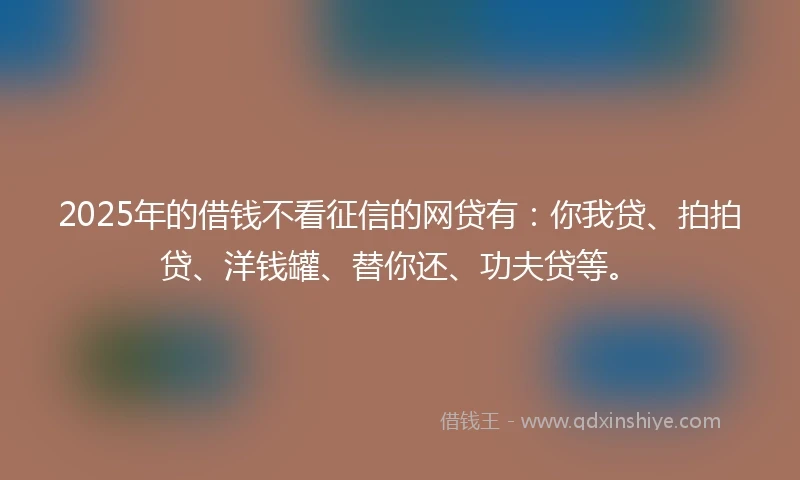 2025年的借钱不看征信的网贷有：你我贷、拍拍贷、洋钱罐、替你还、功夫贷等。