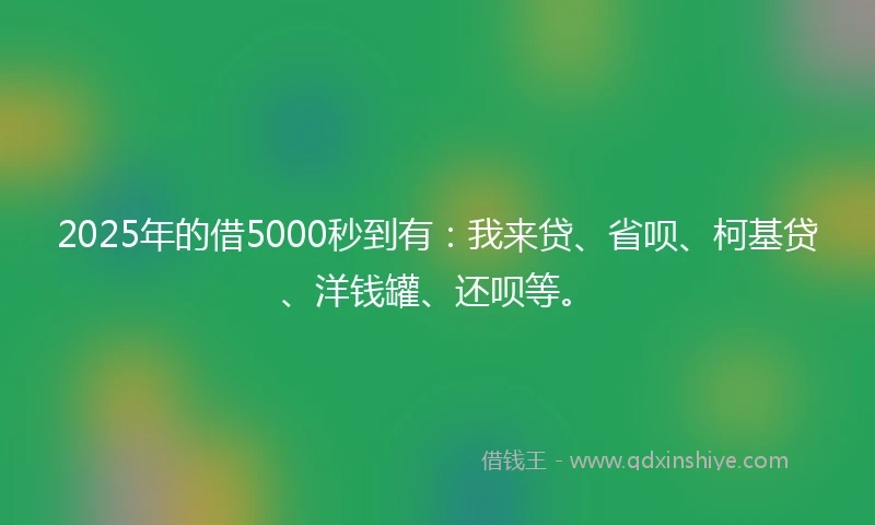 2025年的借5000秒到有：我来贷、省呗、柯基贷、洋钱罐、还呗等。