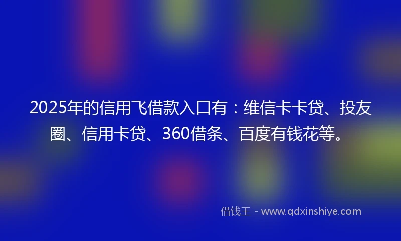 2025年的信用飞借款入口有：维信卡卡贷、投友圈、信用卡贷、360借条、百度有钱花等。