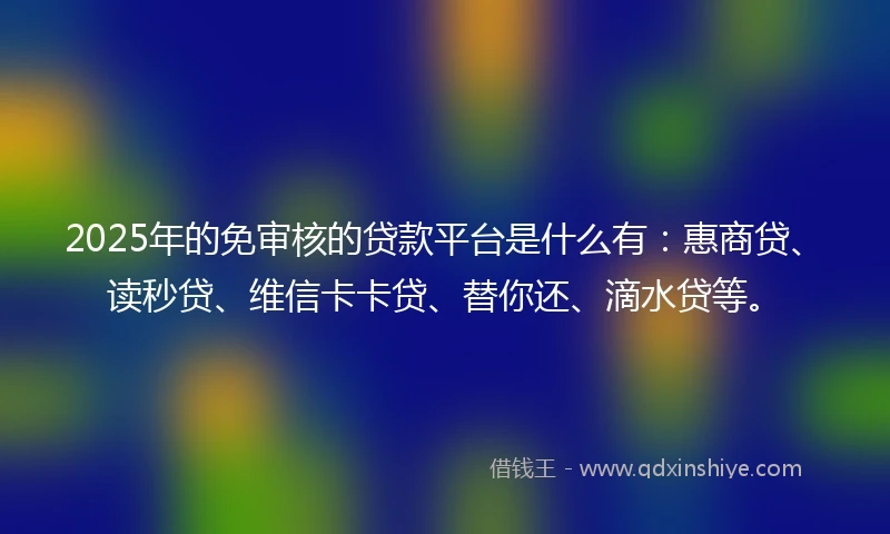 2025年的免审核的贷款平台是什么有：惠商贷、读秒贷、维信卡卡贷、替你还、滴水贷等。