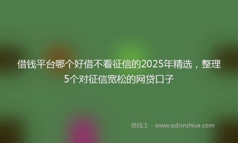 借钱平台哪个好借不看征信的2025年精选，整理5个对征信宽松的网贷口子
