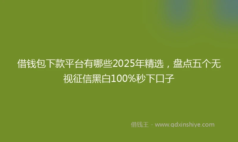 借钱包下款平台有哪些2025年精选，盘点五个无视征信黑白100%秒下口子