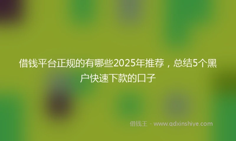 借钱平台正规的有哪些2025年推荐，总结5个黑户快速下款的口子