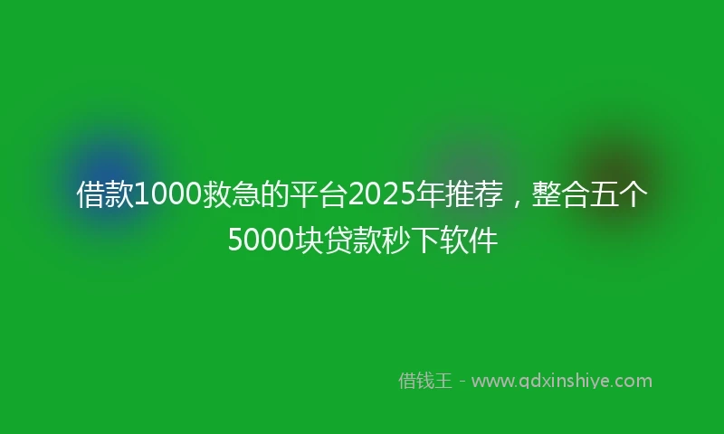 借款1000救急的平台2025年推荐，整合五个5000块贷款秒下软件