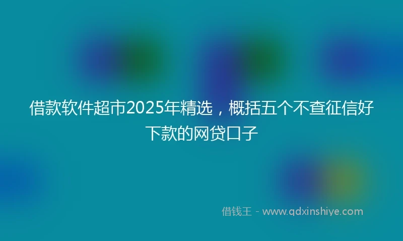 借款软件超市2025年精选，概括五个不查征信好下款的网贷口子