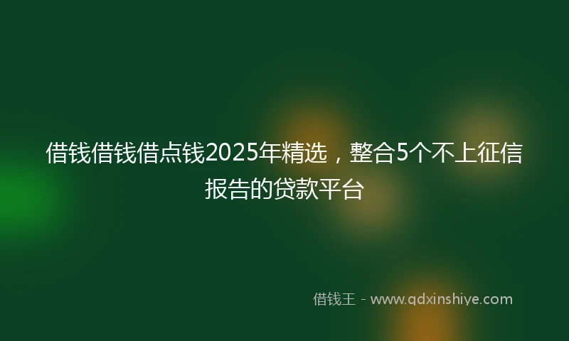 借钱借钱借点钱2025年精选，整合5个不上征信报告的贷款平台