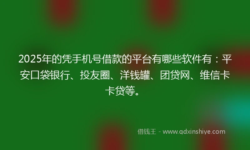 2025年的凭手机号借款的平台有哪些软件有：平安口袋银行、投友圈、洋钱罐、团贷网、维信卡卡贷等。