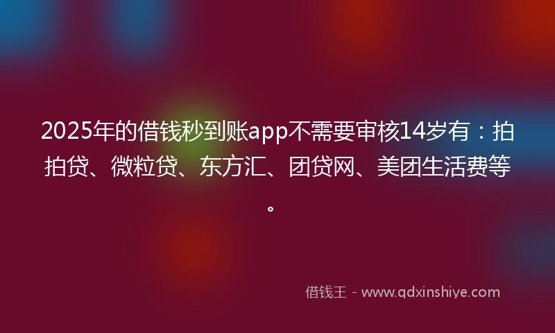 2025年的借钱秒到账app不需要审核14岁有：拍拍贷、微粒贷、东方汇、团贷网、美团生活费等。
