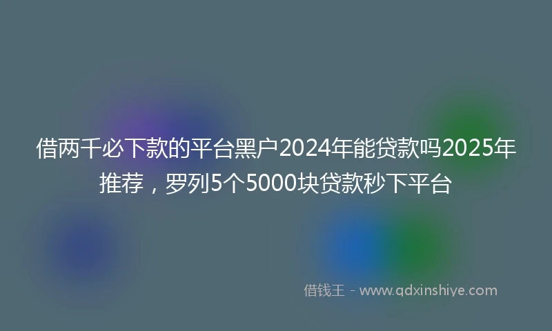 借两千必下款的平台黑户2024年能贷款吗2025年推荐，罗列5个5000块贷款秒下平台