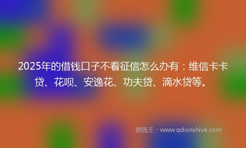 2025年的借钱口子不看征信怎么办有：维信卡卡贷、花呗、安逸花、功夫贷、滴水贷等。