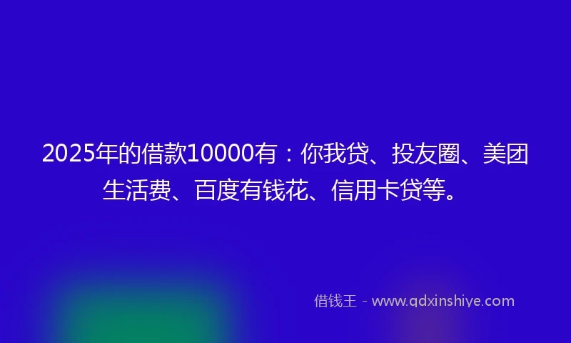 2025年的借款10000有：你我贷、投友圈、美团生活费、百度有钱花、信用卡贷等。