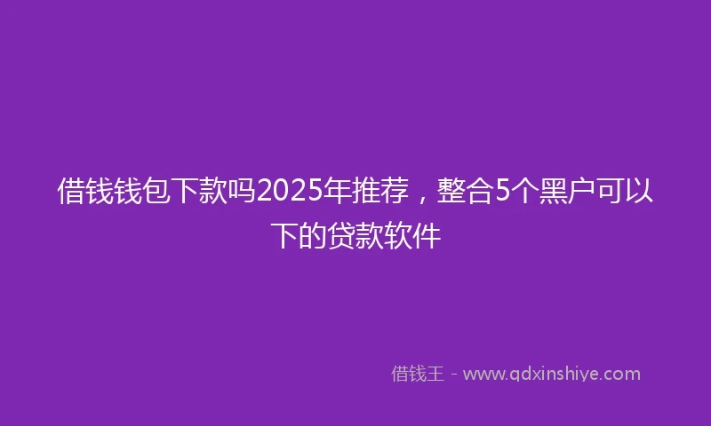 借钱钱包下款吗2025年推荐，整合5个黑户可以下的贷款软件