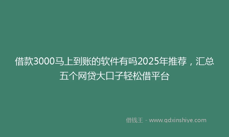 借款3000马上到账的软件有吗2025年推荐，汇总五个网贷大口子轻松借平台