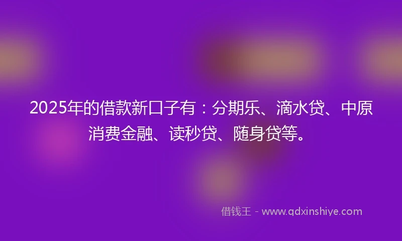 2025年的借款新口子有：分期乐、滴水贷、中原消费金融、读秒贷、随身贷等。