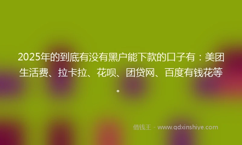 2025年的到底有没有黑户能下款的口子有：美团生活费、拉卡拉、花呗、团贷网、百度有钱花等。