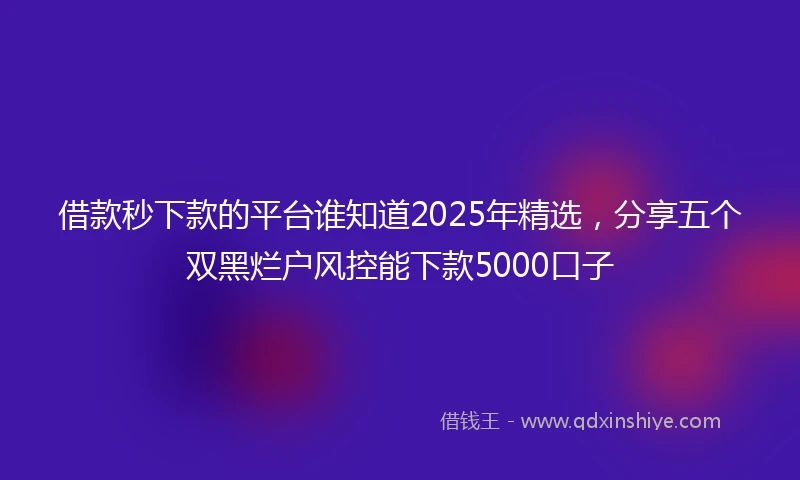 借款秒下款的平台谁知道2025年精选，分享五个双黑烂户风控能下款5000口子